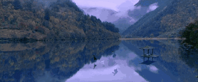 水墨武侠大片《影》,继《英雄》之后老谋子的又一部上